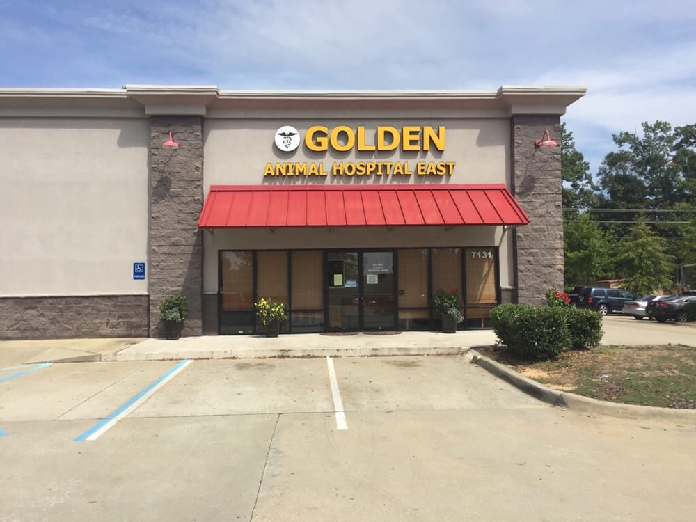 GOLDEN ANIMAL HOSPITAL Updated September 2024 9570 Vaughn Road