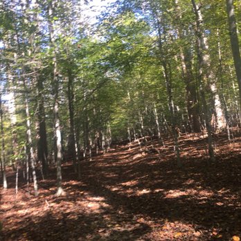 Billy Goat Trail - Section  A - Parks Near Me - Potomac, Maryland
