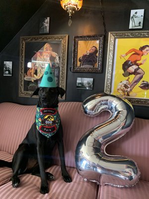 Fur-Kids Boutique by null