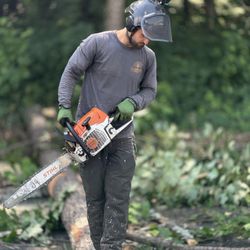 Golden Leaf Tree Service