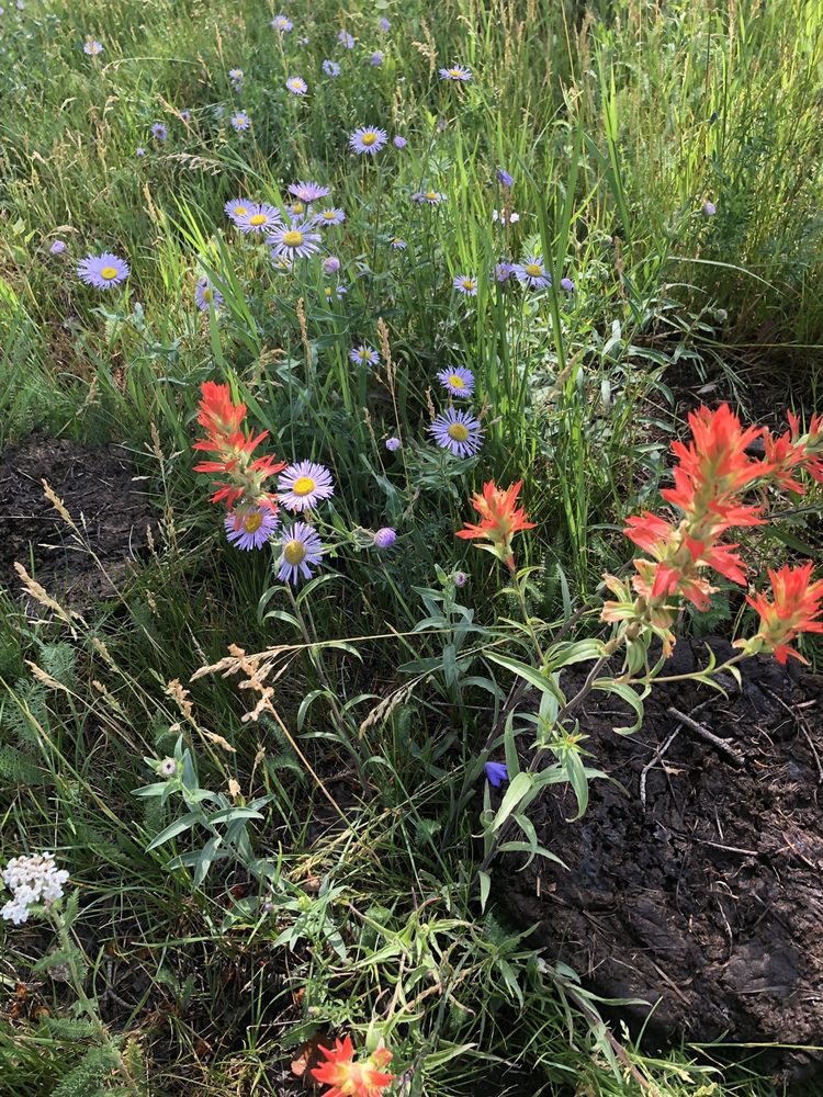 OUTSPIRE HIKING AND SNOWSHOEING 15 Photos & 10 Reviews Santa Fe