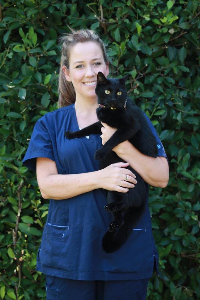 HOUSTON VETERINARY CLINIC Updated September 2024 95 Photos & 11