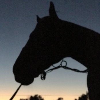 Shadowglen Ranch - A beautiful night at the ranch - Horse Boarding Near Me - Norco, California Shadowglen Ranch - A beautiful night at the ranch - Horse Boarding Near Me - Norco, California