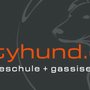 Photo of cityhund.de