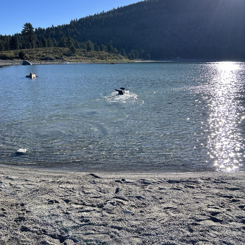 Playing with the dog before the crowds arrive.