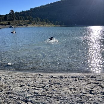 June Lake Beach - Playing with the dog before the crowds arrive. - Beaches Near Me - June Lake, California June Lake Beach - Playing with the dog before the crowds arrive. - Beaches Near Me - June Lake, California