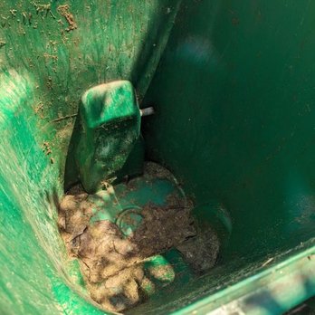 Bubbly Bins Plus - Home Cleaning Near Me