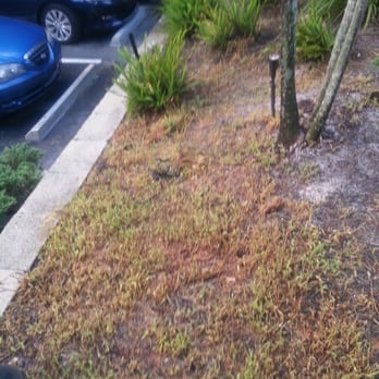 Rick Roberts Lawn Service - Landscaping Near Me - Lehigh Acres, Florida