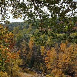Hell's Hollow Wilderness Center