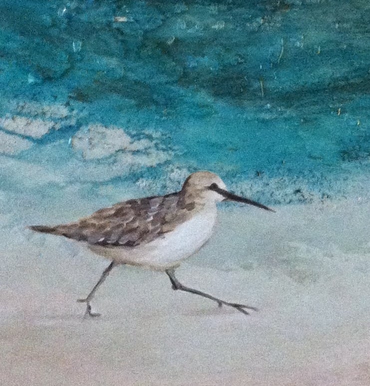 CABANA CABANA STUDIO Updated May 2024 29 Uptown Grayton Cir, Santa