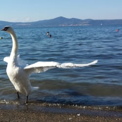 Lago di Bracciano