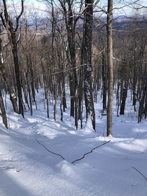 Stratton Mountain Resort by null