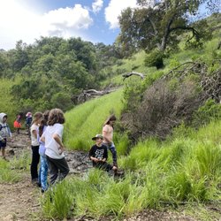 Hiking our 21 acres
