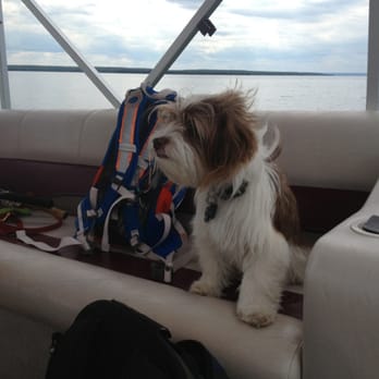 Seaberg Pontoon Rentals - Dog friendly boats rock! - Boating Near Me - Munising, Michigan Seaberg Pontoon Rentals - Dog friendly boats rock! - Boating Near Me - Munising, Michigan