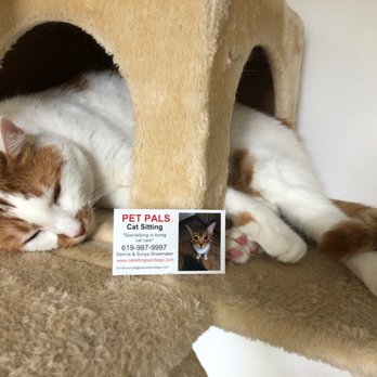 Pet Pals Cat Sitting - #petpals #catsitting - Pet Sitting Near Me - San Diego, California