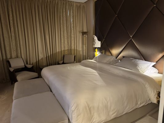 Hôtel Barrière Le Fouquet's by null