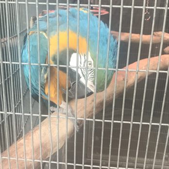 Åppellation - Parrots in the garden - Venues & Event Spaces Near Me - Lodi, California Åppellation - Parrots in the garden - Venues & Event Spaces Near Me - Lodi, California