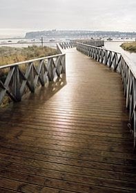 Cardiff Bay Wetlands Reserve
