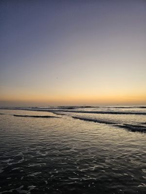 Lori Wilson Park by null