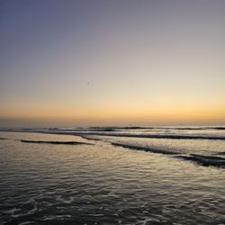 Lori Wilson Park