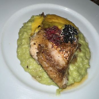 Bliss - Snapper - New American Near Me - San Antonio, Texas Bliss - Snapper - New American Near Me - San Antonio, Texas