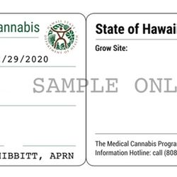 This is how the new digital Hawaii Medical Marijuana card looks.