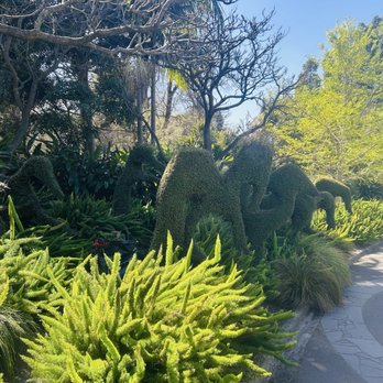 Royal Botanical Gardens Victoria - Topiary creatures - Botanical Gardens Near Me - Melbourne, VIC Royal Botanical Gardens Victoria - Topiary creatures - Botanical Gardens Near Me - Melbourne, VIC