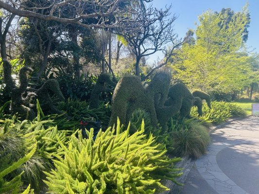 Royal Botanic Gardens Victoria - Melbourne Gardens by null