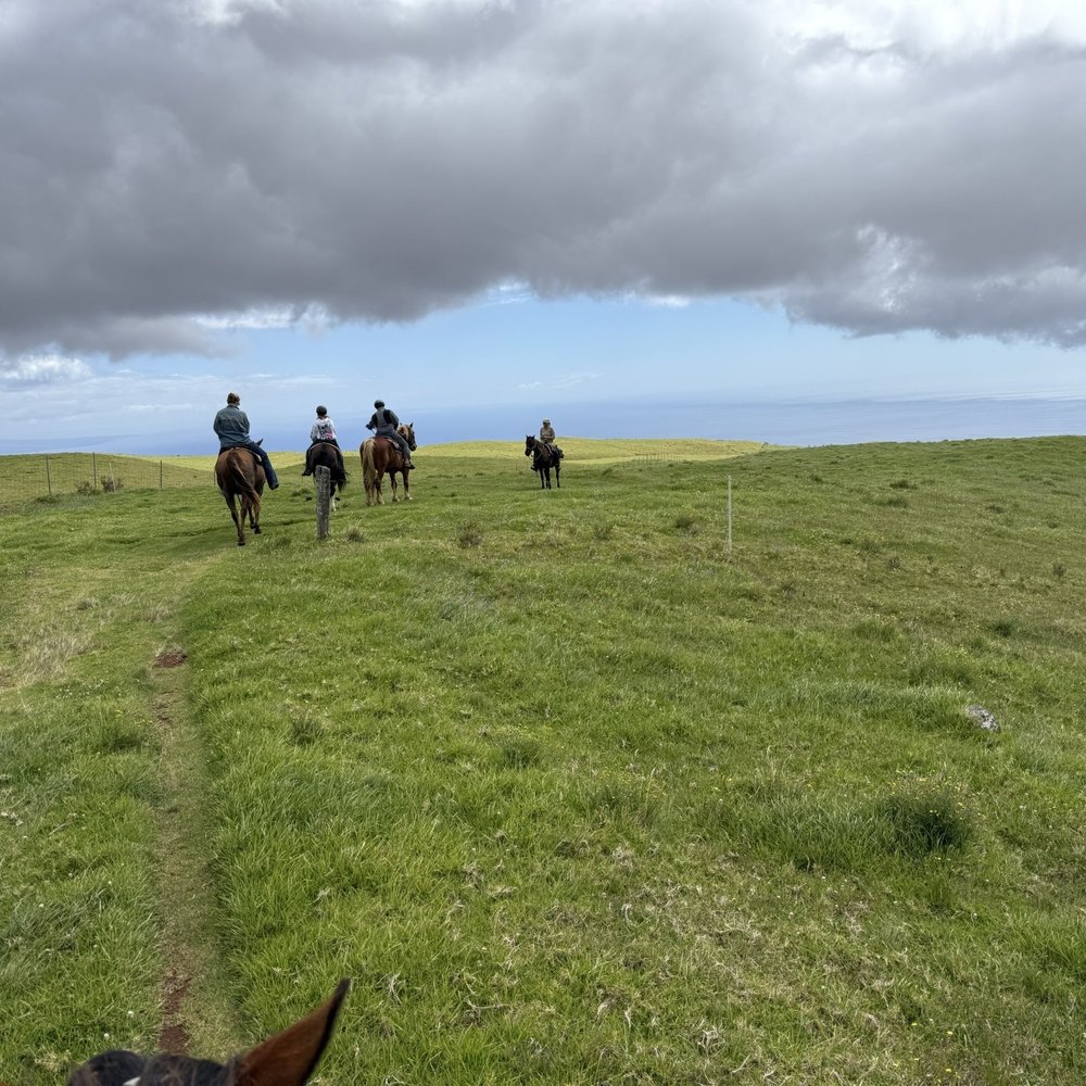 Lookout from the ranch to the sea Lookout from the ranch to the sea