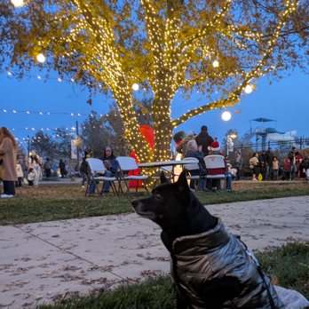 Christmas Tree at Aquatic Center - Public Art Near Me - Elk Grove, California Christmas Tree at Aquatic Center - Public Art Near Me - Elk Grove, California