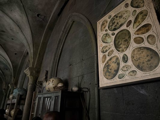 Hagrid’s Magical Creatures Motorbike Adventure by null