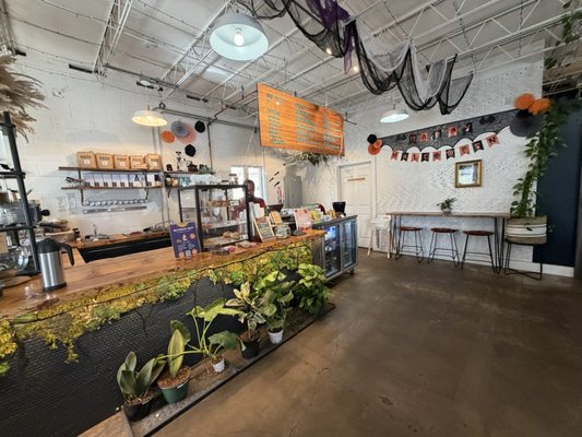 Dandy Lion Coffee Co. by null