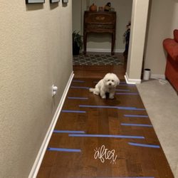 Family Floors & More