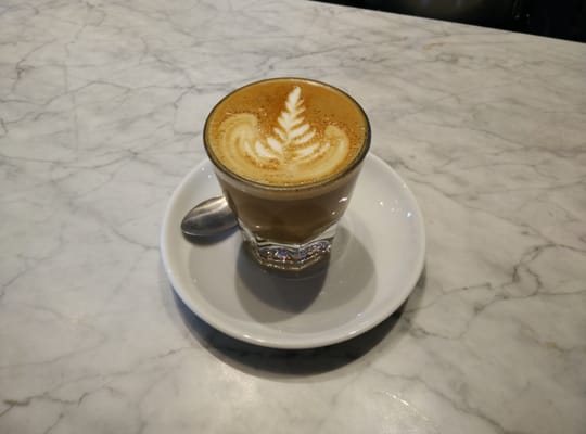 Elm Coffee Roasters by null