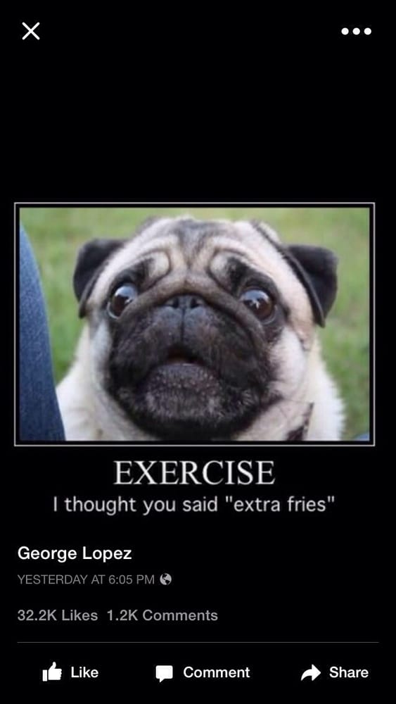 MUNSON’S INDEPENDENT HONDA Updated September 2024 33 Reviews