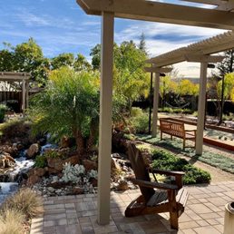a view of a garden with a waterfall