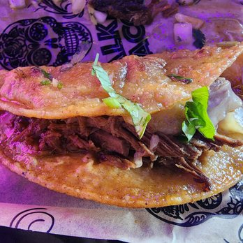Talkin' Tacos Temple Terrace - Birria taco - Mexican Near Me - Tampa, Florida Talkin' Tacos Temple Terrace - Birria taco - Mexican Near Me - Tampa, Florida