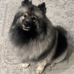 Max Max
