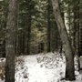 Photo of lost twin lakes pathway