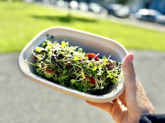 Sidewalk Juice- Haight Street by null