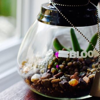Fox Botany - Easy Succulents (assorted lithops) Pyrite Stone for success Diner Style Coffee Carafe Local Rock - Nurseries & Gardening Near Me Fox Botany - Easy Succulents (assorted lithops) Pyrite Stone for success Diner Style Coffee Carafe Local Rock - Nurseries & Gardening Near Me