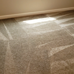 Steam It Carpet & Tile Cleaning