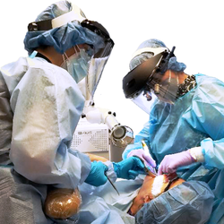 Seattle Periodontics & Implant Dentistry