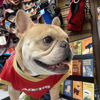 Expert Pet - Pet Stores Near Me - San Francisco, California