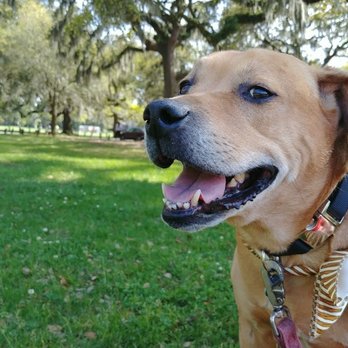 Forsyth Park - Parks Near Me - Savannah, Georgia Forsyth Park - Parks Near Me - Savannah, Georgia