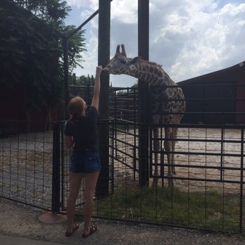 Tennessee Safari Park - Parks Near Me - Alamo, Tennessee