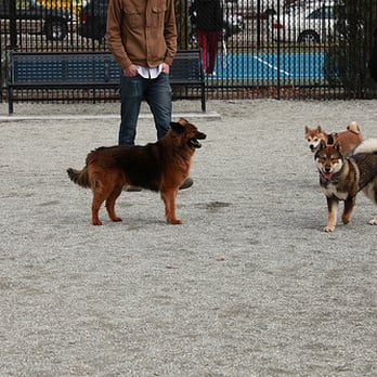 Hamilton Park - Dog Run at Hamilton Park - Playgrounds Near Me - Jersey City, New Jersey