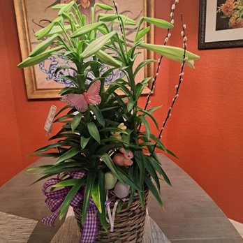 North Port Natural Florist - Florists Near Me - North Port, Florida North Port Natural Florist - Florists Near Me - North Port, Florida