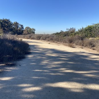 Gum Grove Nature Park - Hiking Near Me - Seal Beach, California