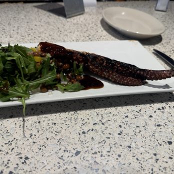 Coconuts - Octopus - Seafood Near Me - Fort Lauderdale, Florida